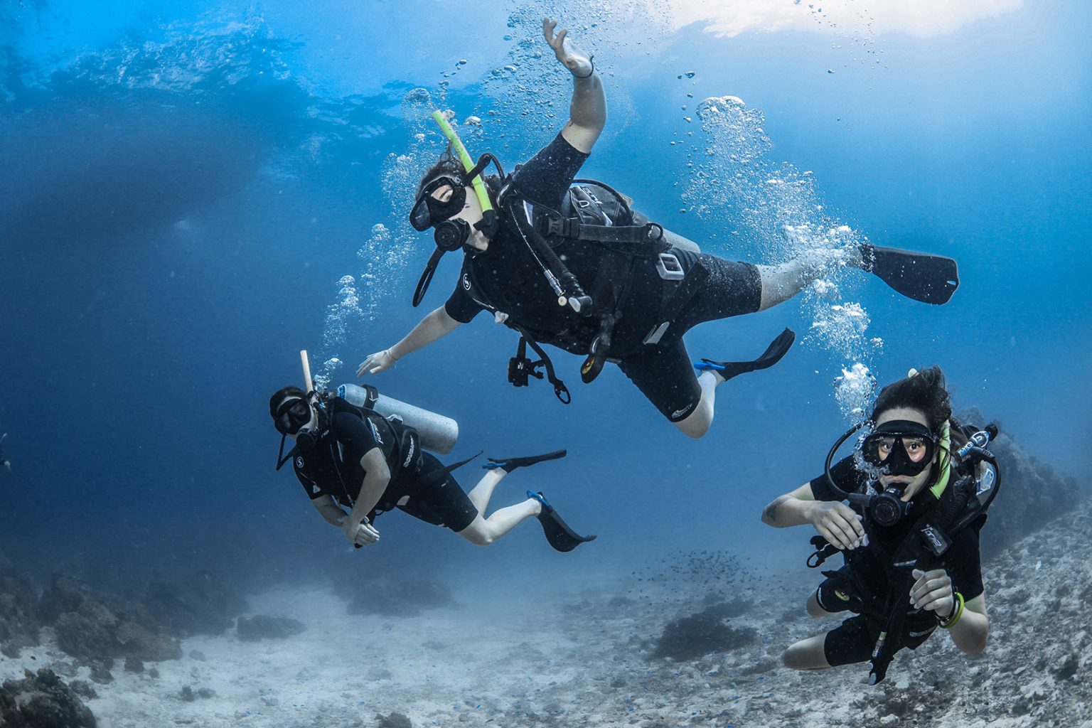 padi dive safari