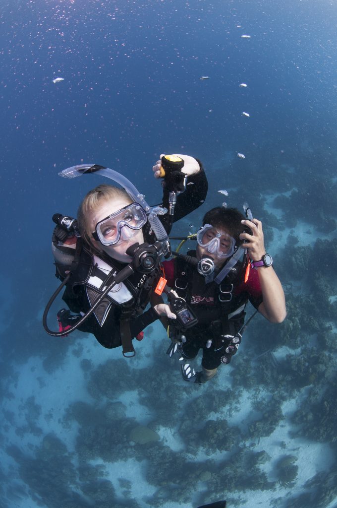 PADI Open Water Diver Course