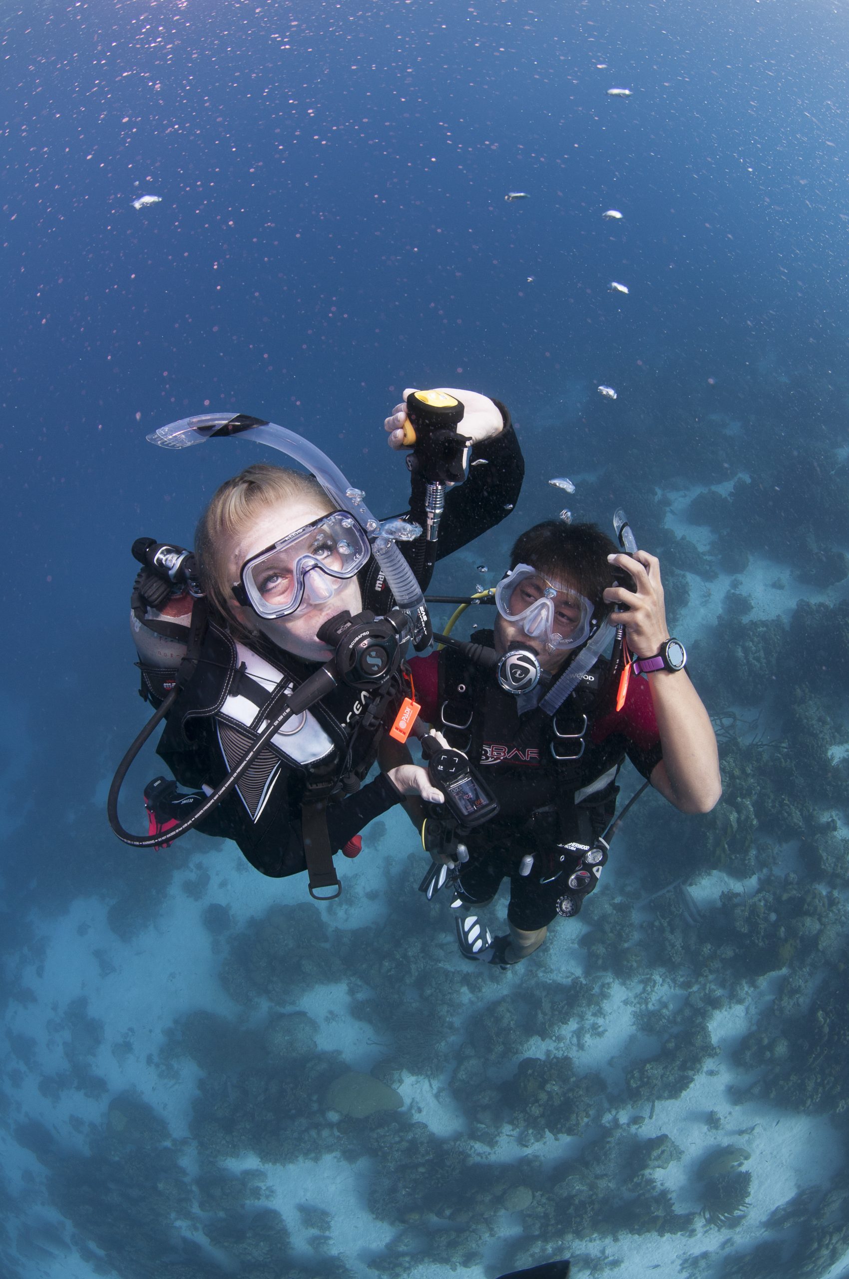 Padi Open Water Diver Course In Cebu